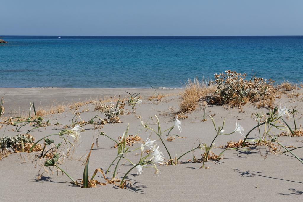Villa Kalliopi Ιncreteble Cretan Resindences Collection Xerokampos  Zewnętrze zdjęcie