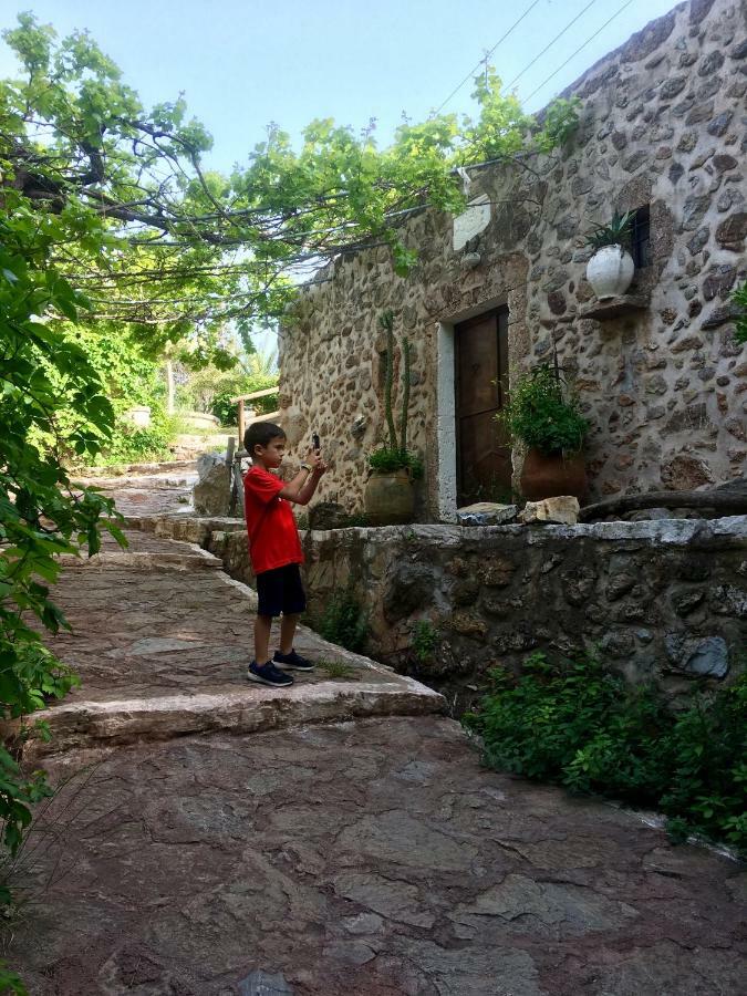 Villa Kalliopi Ιncreteble Cretan Resindences Collection Xerokampos  Zewnętrze zdjęcie