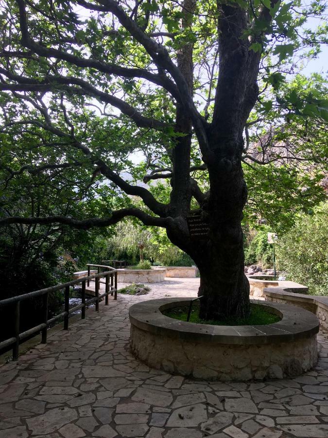Villa Kalliopi Ιncreteble Cretan Resindences Collection Xerokampos  Zewnętrze zdjęcie